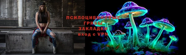 спайс Абинск