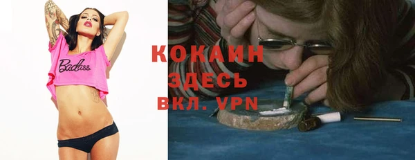 тгк Магас