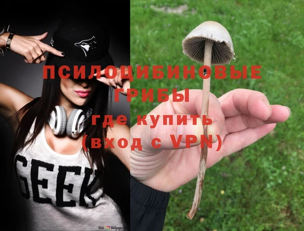 трава Абаза