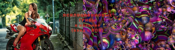 кокс Абдулино