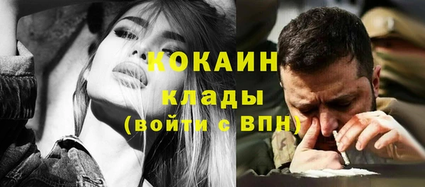 тгк Магас