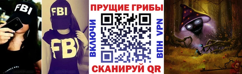 Галлюциногенные грибы Cubensis  KRAKEN как зайти  Электроугли 